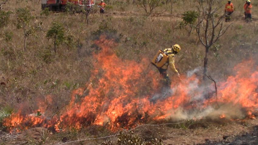 Capa da notícia: Cerrado em foco: pesquisa analisa efeitos do combate químico a incêndios florestais